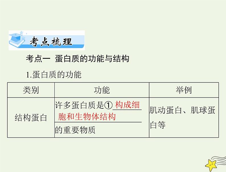 2023版高考生物一轮总复习第2章第4、5节蛋白质是生命活动的主要承担者核酸是遗传信息的携带者课件02