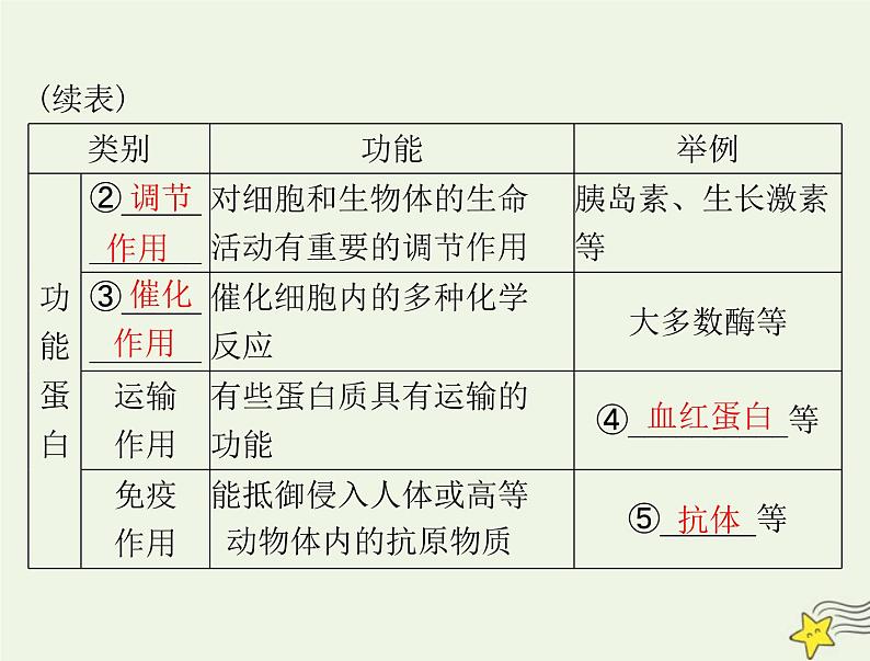 2023版高考生物一轮总复习第2章第4、5节蛋白质是生命活动的主要承担者核酸是遗传信息的携带者课件03