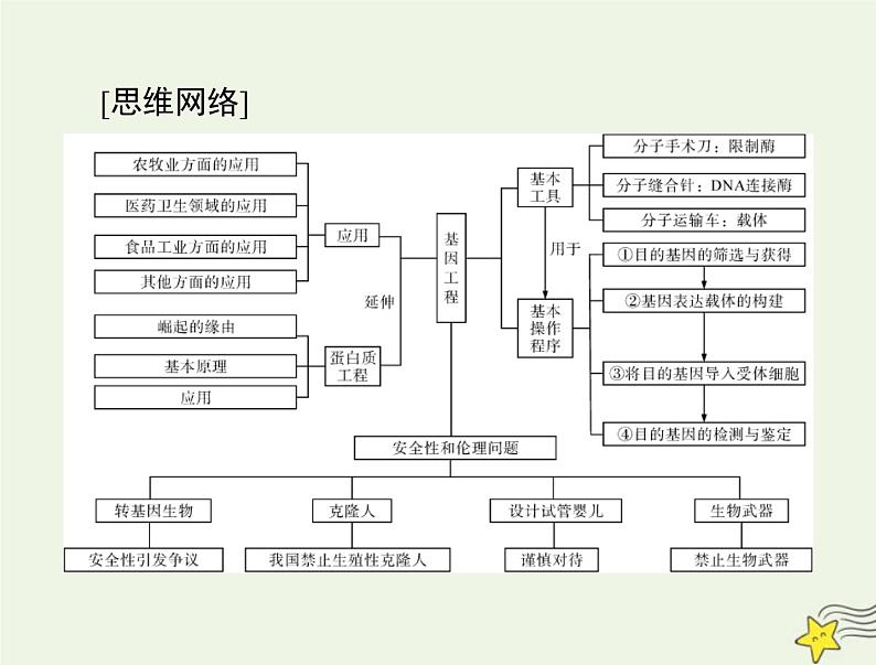 2023版高考生物一轮总复习第3、4章基因工程生物技术的安全性和伦理问题课件第4页