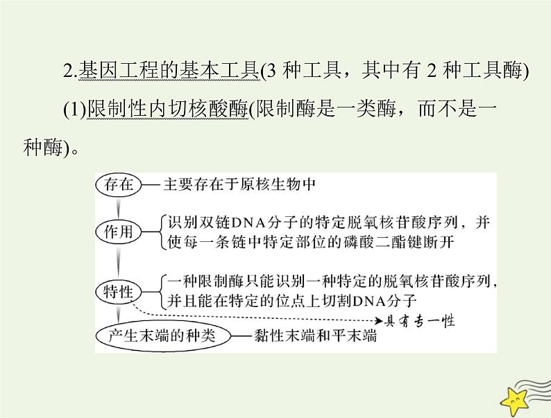 2023版高考生物一轮总复习第3、4章基因工程生物技术的安全性和伦理问题课件第6页