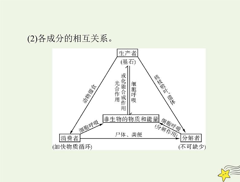 2023版高考生物一轮总复习第3章第1、2节生态系统的结构生态系统的能量流动课件08