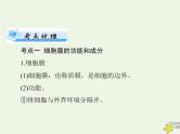 2023版高考生物一轮总复习第3章第1、3节细胞膜的结构和功能细胞核的结构和功能课件