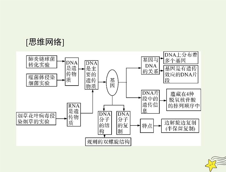 2023版高考生物一轮总复习第3章第1节DNA是主要的遗传物质课件第3页