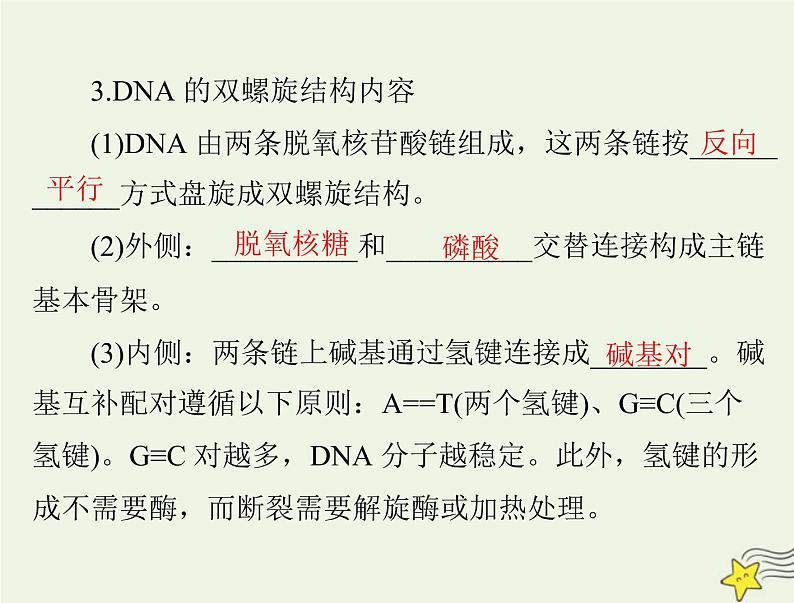 2023版高考生物一轮总复习第3章第2、3、4节DNA的结构DNA的复制及基因通常是有遗传效应的DNA片段课件第5页