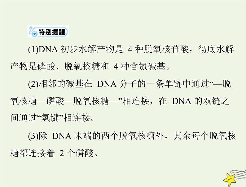 2023版高考生物一轮总复习第3章第2、3、4节DNA的结构DNA的复制及基因通常是有遗传效应的DNA片段课件第6页