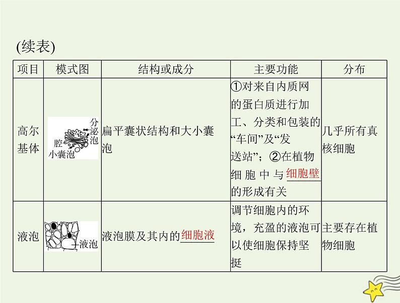 2023版高考生物一轮总复习第3章第2节细胞器之间的分工合作课件第6页