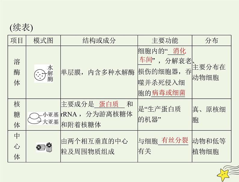 2023版高考生物一轮总复习第3章第2节细胞器之间的分工合作课件第7页