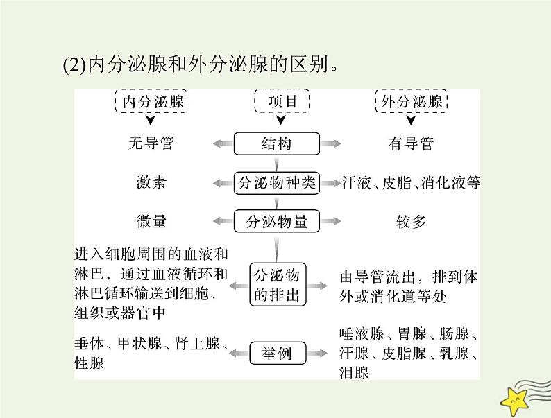 2023版高考生物一轮总复习第3章体液调节课件第5页