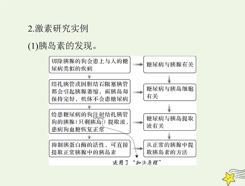 2023版高考生物一轮总复习第3章体液调节课件第7页