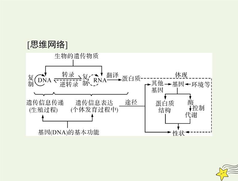 2023版高考生物一轮总复习第4章基因的表达课件第3页