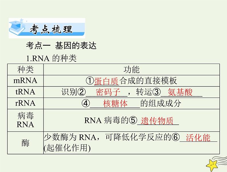 2023版高考生物一轮总复习第4章基因的表达课件第4页