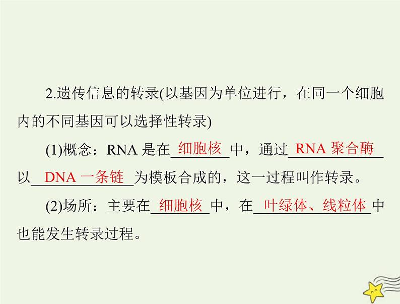 2023版高考生物一轮总复习第4章基因的表达课件第5页