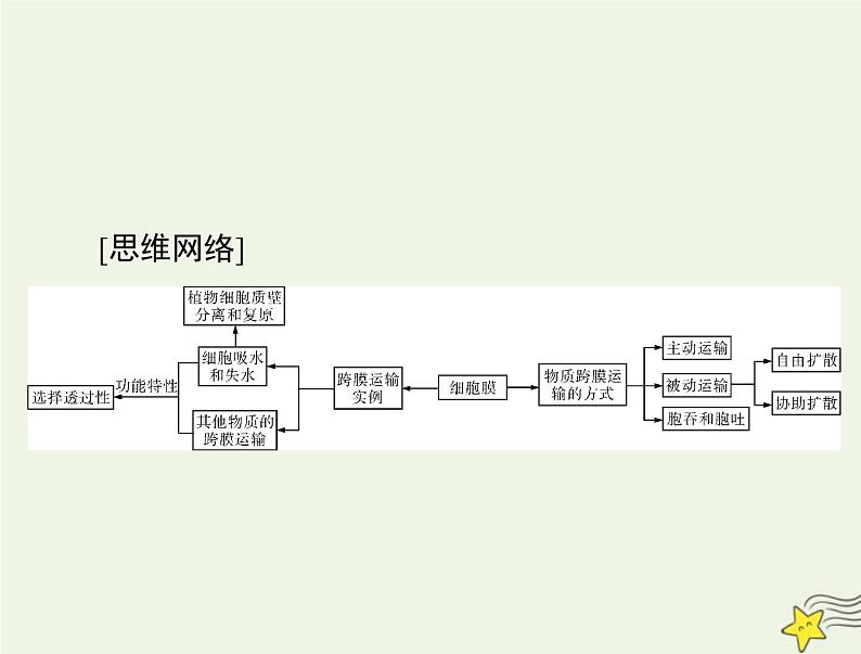 2023版高考生物一轮总复习第4章细胞的物质输入和输出课件第3页