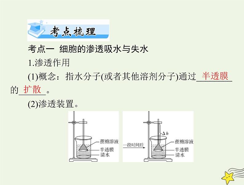 2023版高考生物一轮总复习第4章细胞的物质输入和输出课件第4页