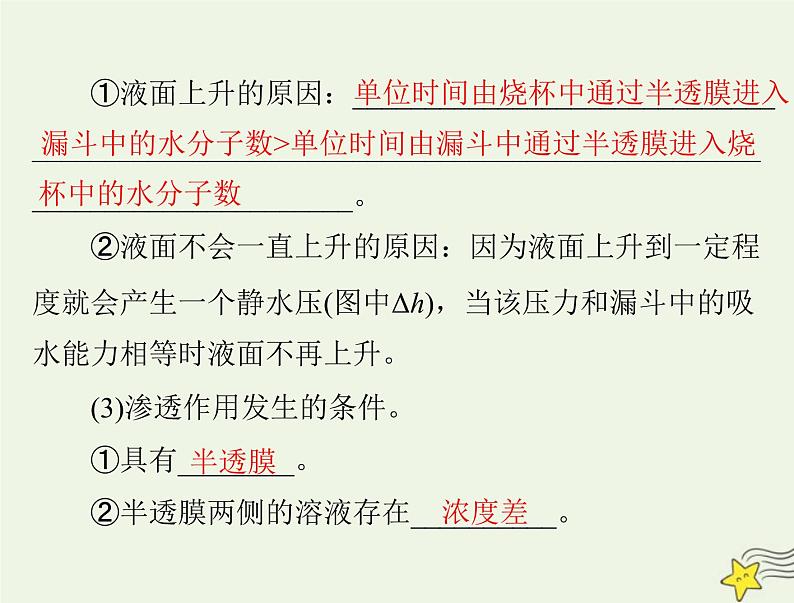 2023版高考生物一轮总复习第4章细胞的物质输入和输出课件第5页