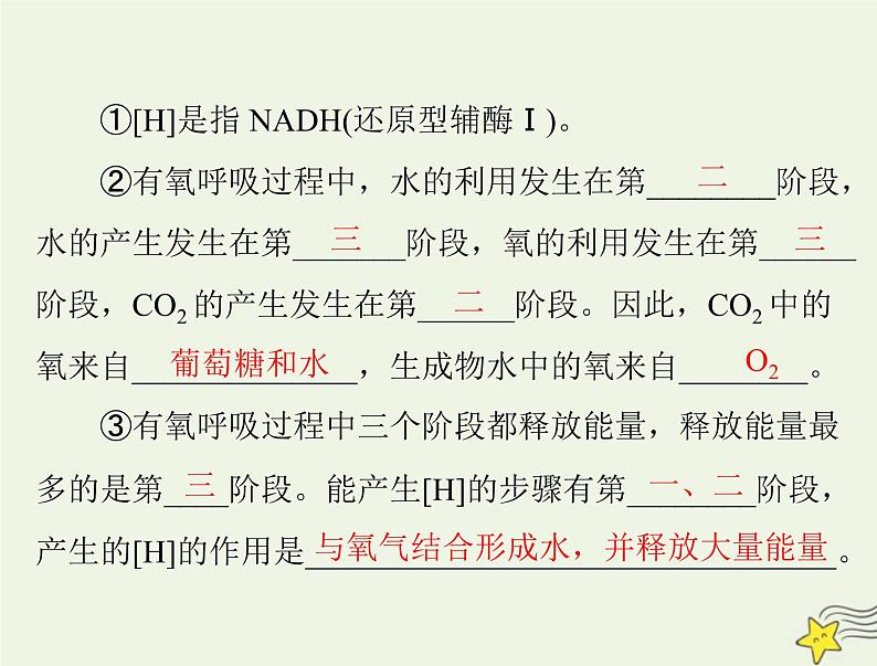 2023版高考生物一轮总复习第5章第3节细胞呼吸的原理和应用课件第4页