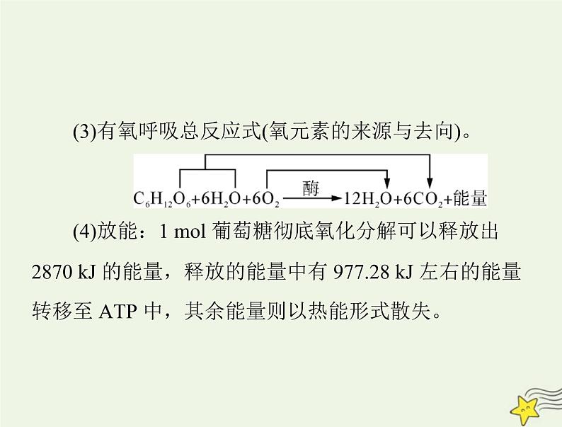 2023版高考生物一轮总复习第5章第3节细胞呼吸的原理和应用课件第5页