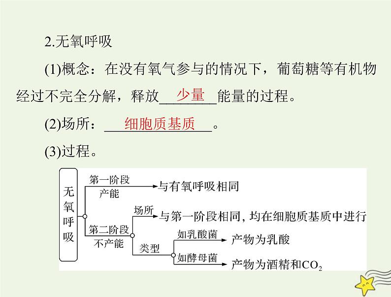 2023版高考生物一轮总复习第5章第3节细胞呼吸的原理和应用课件第6页