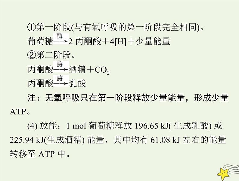 2023版高考生物一轮总复习第5章第3节细胞呼吸的原理和应用课件第7页