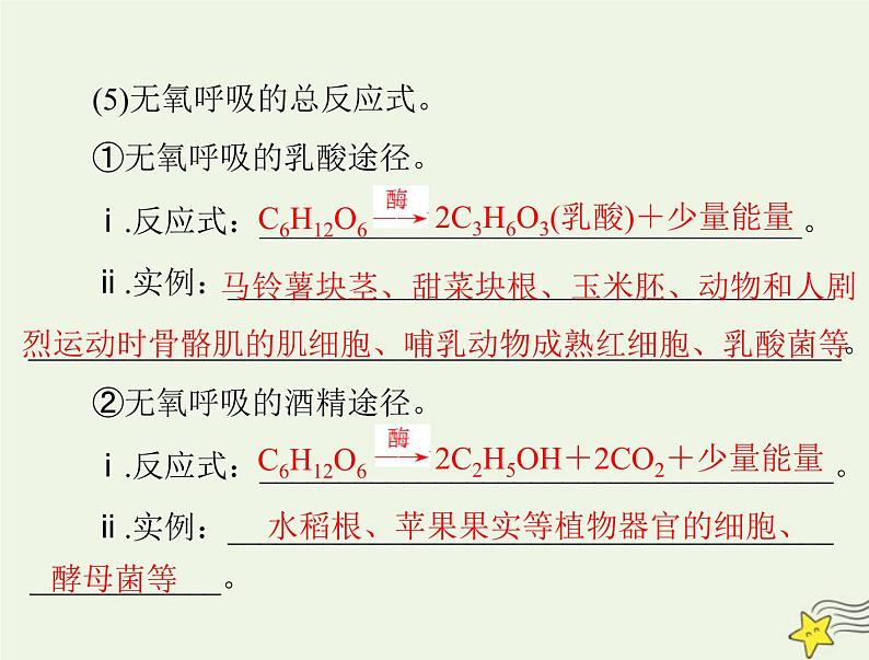 2023版高考生物一轮总复习第5章第3节细胞呼吸的原理和应用课件第8页