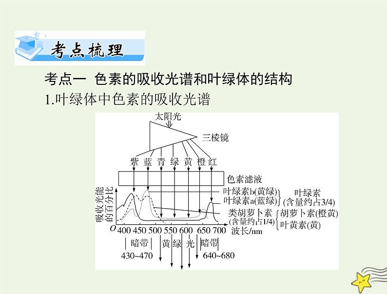 2023版高考生物一轮总复习第5章第4节光合作用与能量转化课件第2页