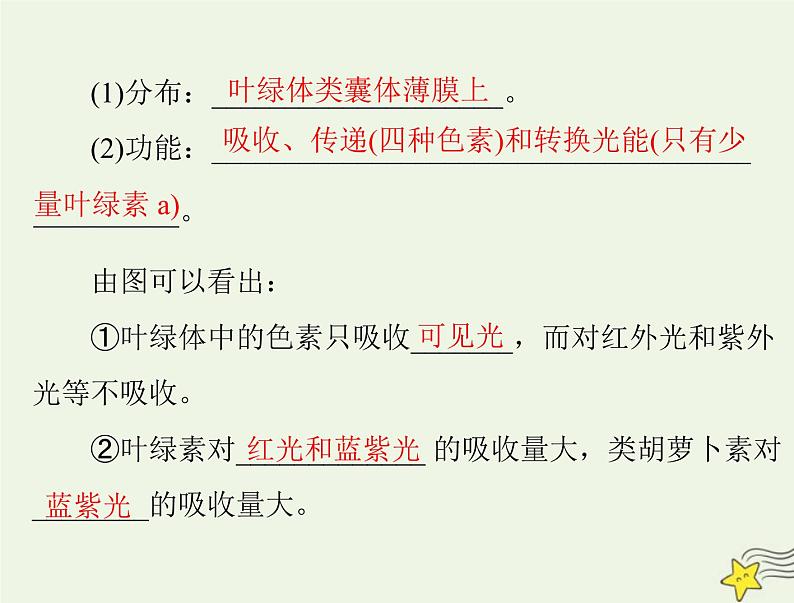 2023版高考生物一轮总复习第5章第4节光合作用与能量转化课件第3页