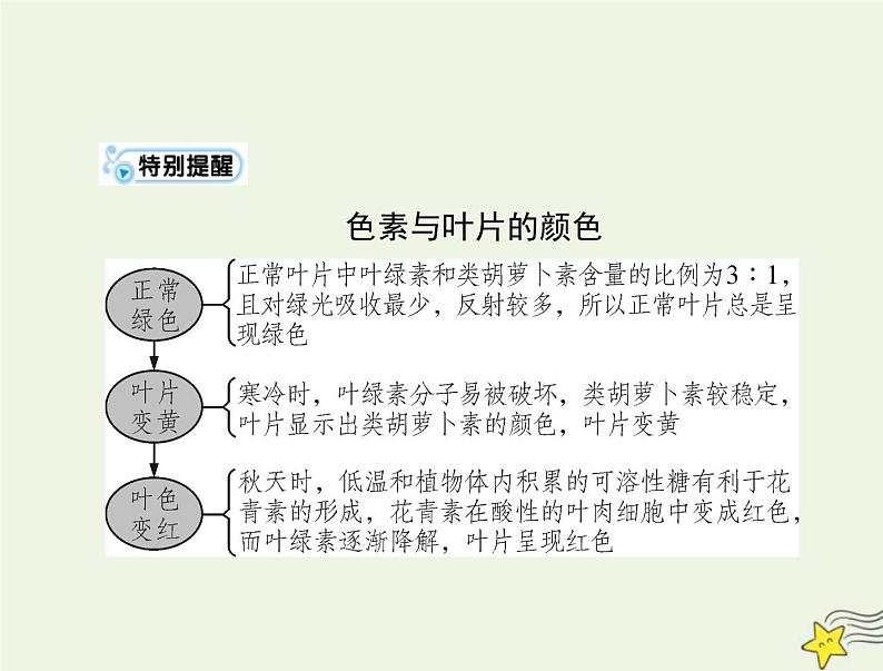 2023版高考生物一轮总复习第5章第4节光合作用与能量转化课件第4页