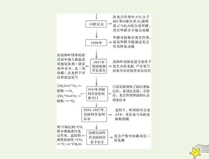 2023版高考生物一轮总复习第5章第4节光合作用与能量转化课件第7页