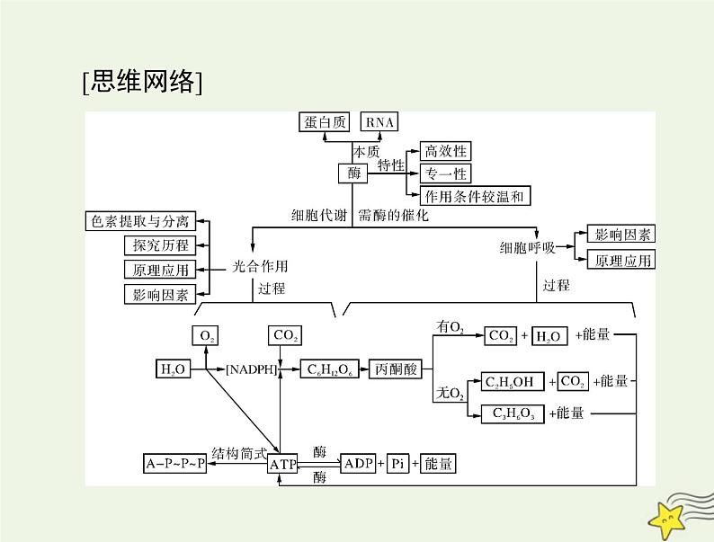 2023版高考生物一轮总复习第5章第12节降低化学反应活化能的酶细胞的能量“货币”ATP课件第3页