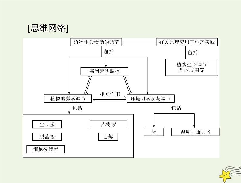 2023版高考生物一轮总复习第5章植物生命活动的调节课件第3页