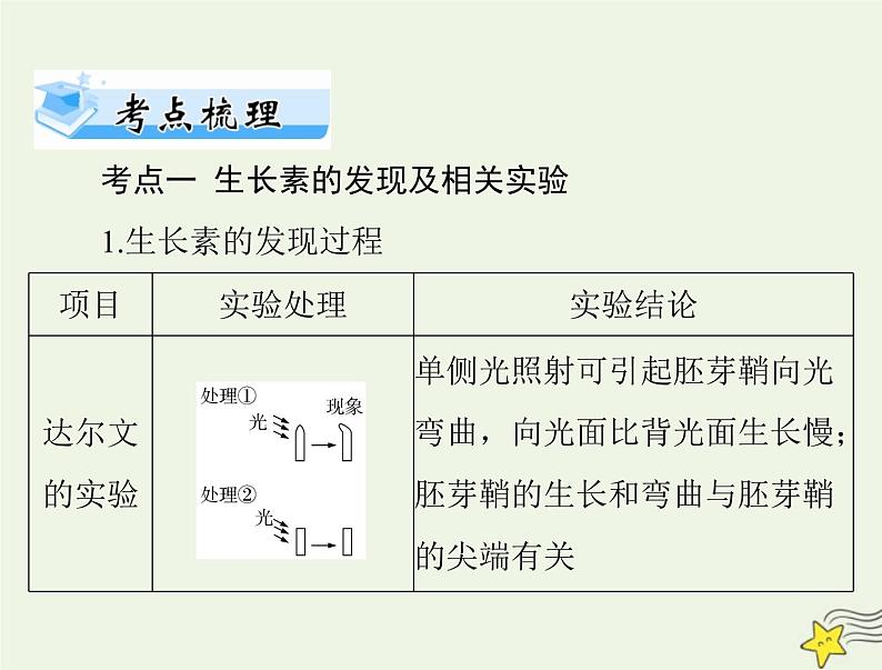 2023版高考生物一轮总复习第5章植物生命活动的调节课件第4页