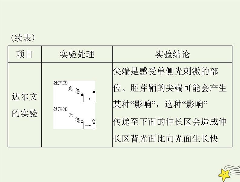 2023版高考生物一轮总复习第5章植物生命活动的调节课件第5页