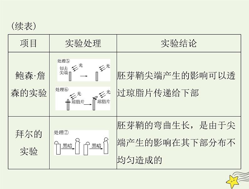 2023版高考生物一轮总复习第5章植物生命活动的调节课件第6页