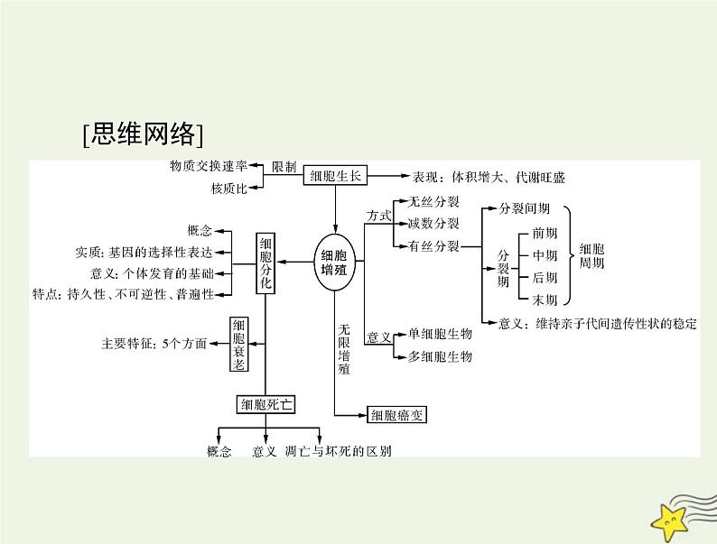 2023版高考生物一轮总复习第6章第1节细胞的增殖课件03