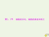 2023版高考生物一轮总复习第6章第2、3节细胞的分化细胞的衰老和死亡课件