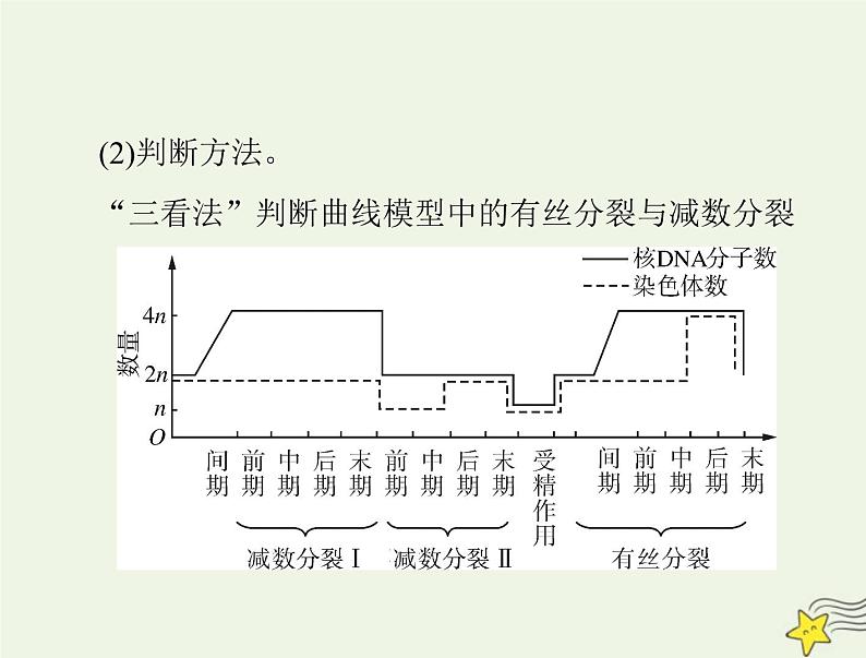 2023版高考生物一轮总复习小专题五减数分裂和有丝分裂题型突破课件03