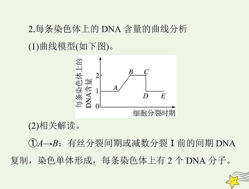 2023版高考生物一轮总复习小专题五减数分裂和有丝分裂题型突破课件05