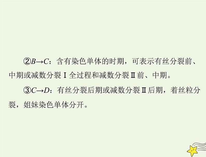 2023版高考生物一轮总复习小专题五减数分裂和有丝分裂题型突破课件06