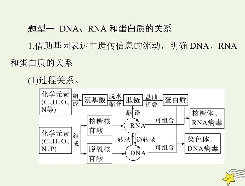 2023版高考生物一轮总复习小专题一四大有机物的综合考查课件02