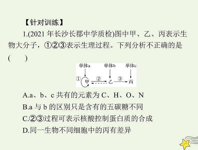 2023版高考生物一轮总复习小专题一四大有机物的综合考查课件05