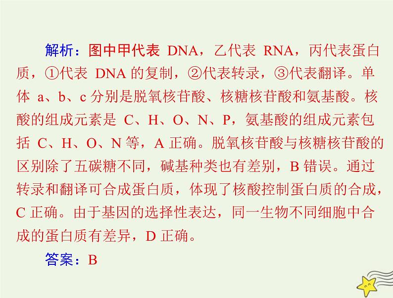 2023版高考生物一轮总复习小专题一四大有机物的综合考查课件06