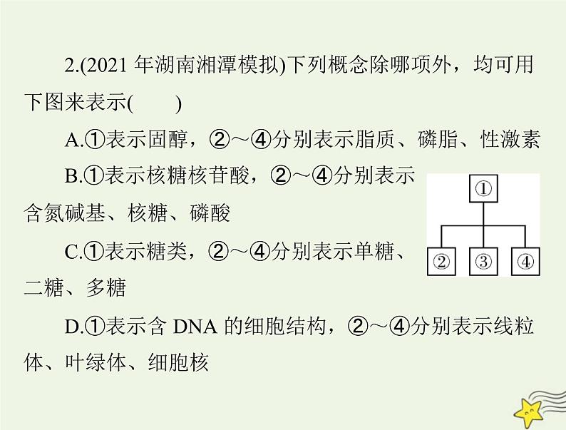 2023版高考生物一轮总复习小专题一四大有机物的综合考查课件07