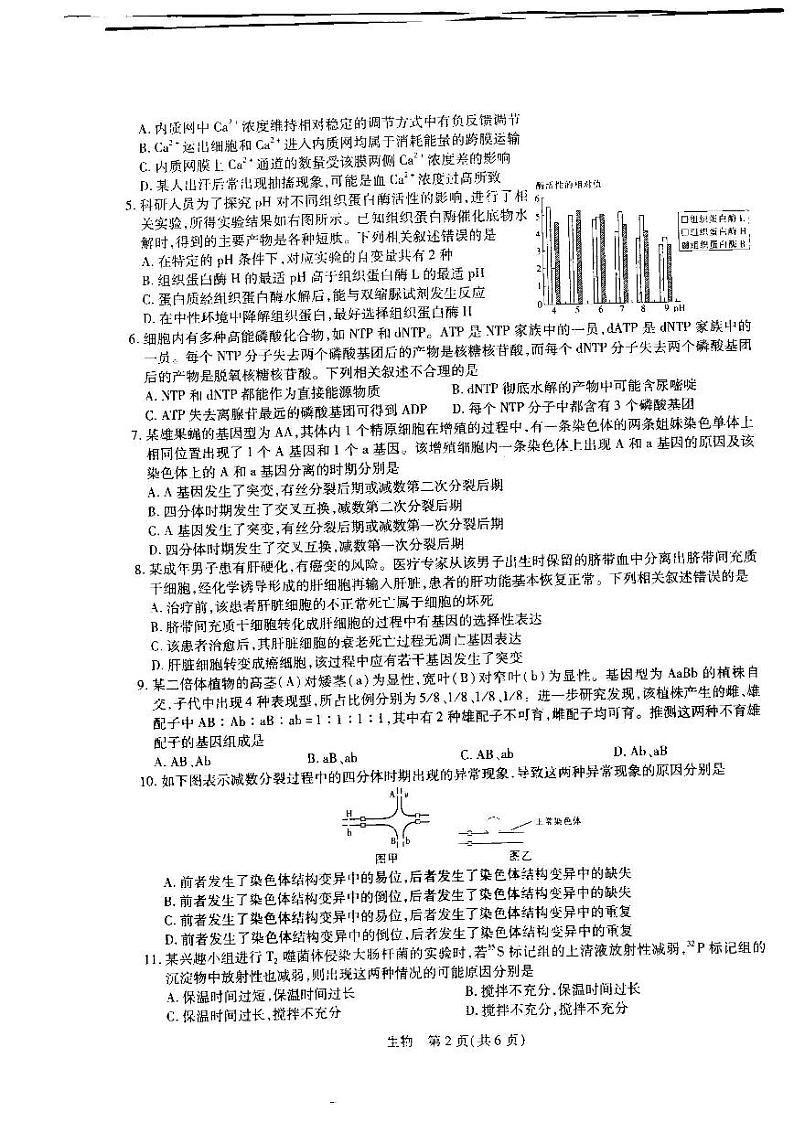2023届江西省（稳派教育）新高三第一摸底考试生物试题含答案（2022年7月）第2页