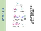 公开课 选1.4.2 特异性免疫 第1课时