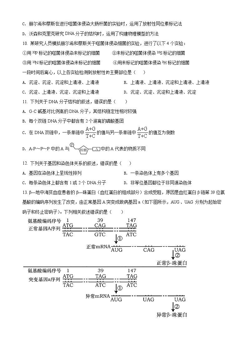 2022淄博高一下学期期中考试生物试题含解析03