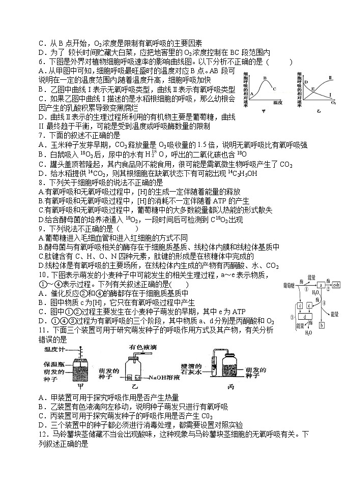 新人教版（2019）高中生物必修15.3细胞呼吸的原理和应用测试题第2页