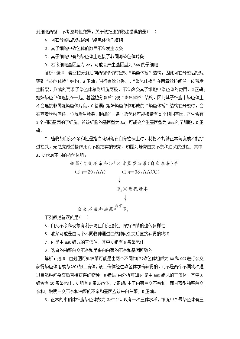 新课标2023版高考生物一轮总复习课时验收评价三十染色体变异与育种及人类遗传病 试卷03