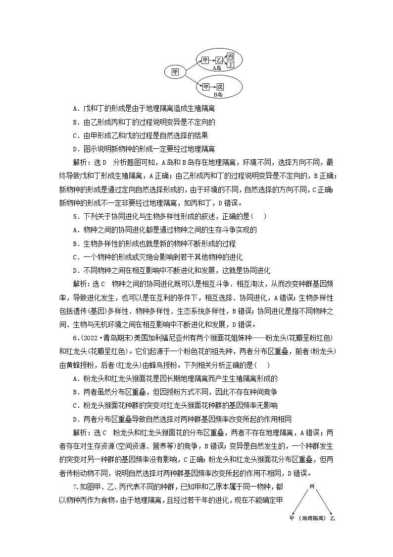 新课标2023版高考生物一轮总复习课时验收评价三十一生物的进化 试卷02