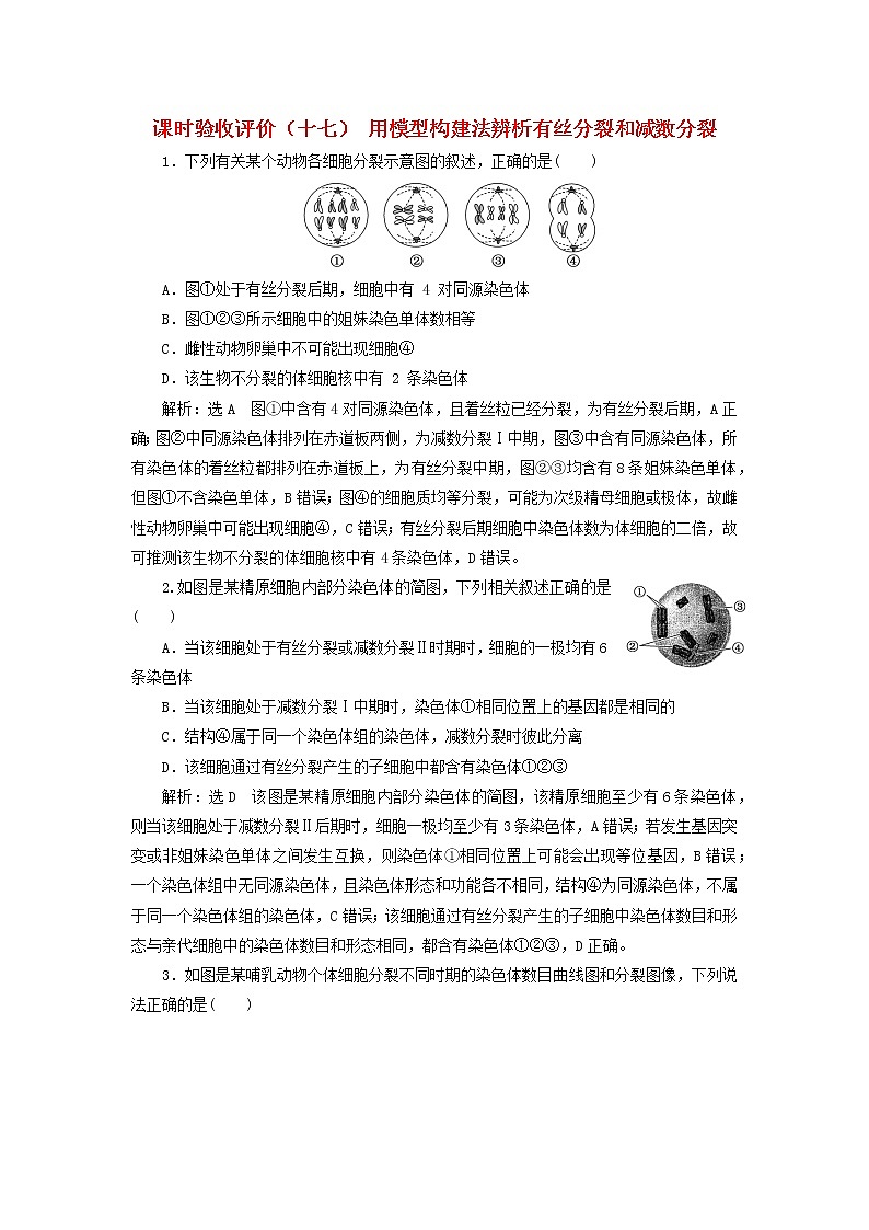 新课标2023版高考生物一轮总复习课时验收评价十七用模型构建法辨析有丝分裂和减数分裂第1页