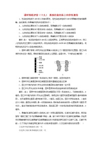 新课标2023版高考生物一轮总复习课时验收评价十九基因在染色体上和伴性遗传